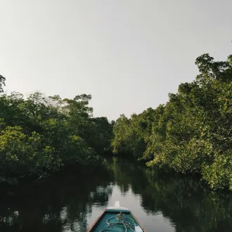 Mangroveskog Indonesia Smarthotel