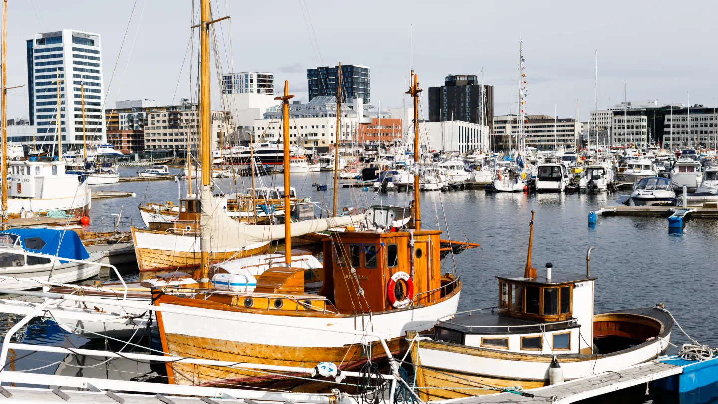 Bodø sentrum med havn