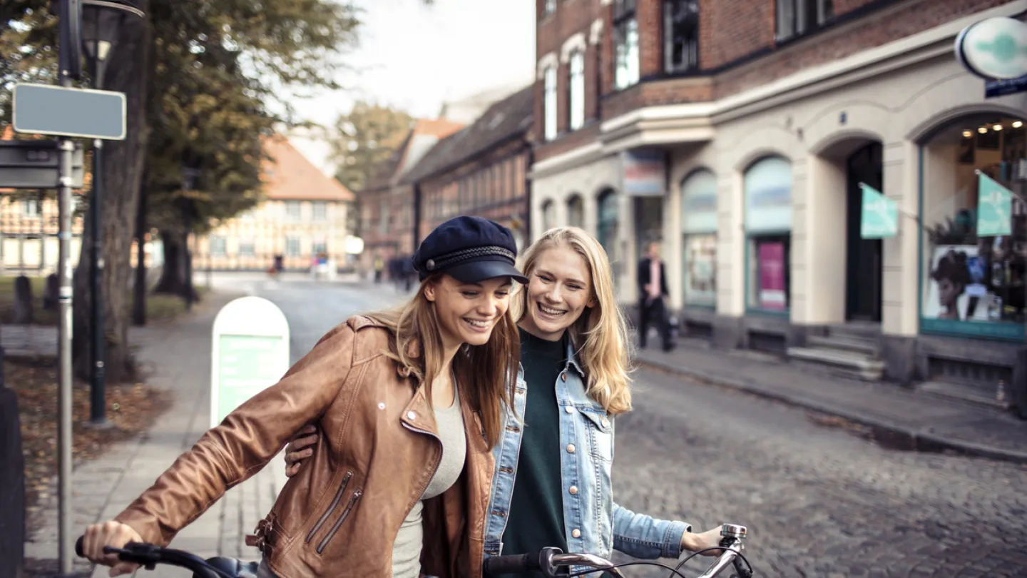 Stemingsbilde